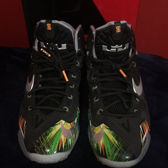 Men’s Nike Lebron 11 “Everglades” - Picture 2 of 5